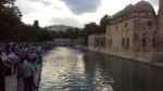 The fish lake at the mosque in Urfa